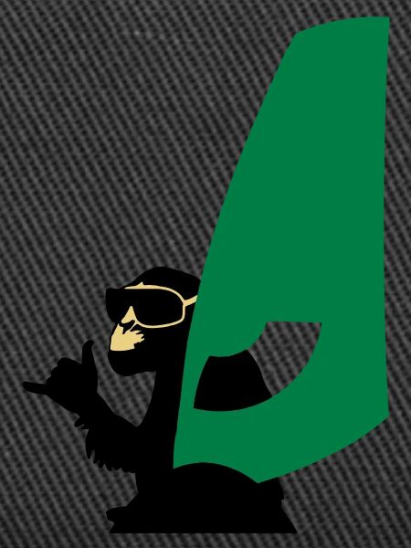 windsurfer monkey