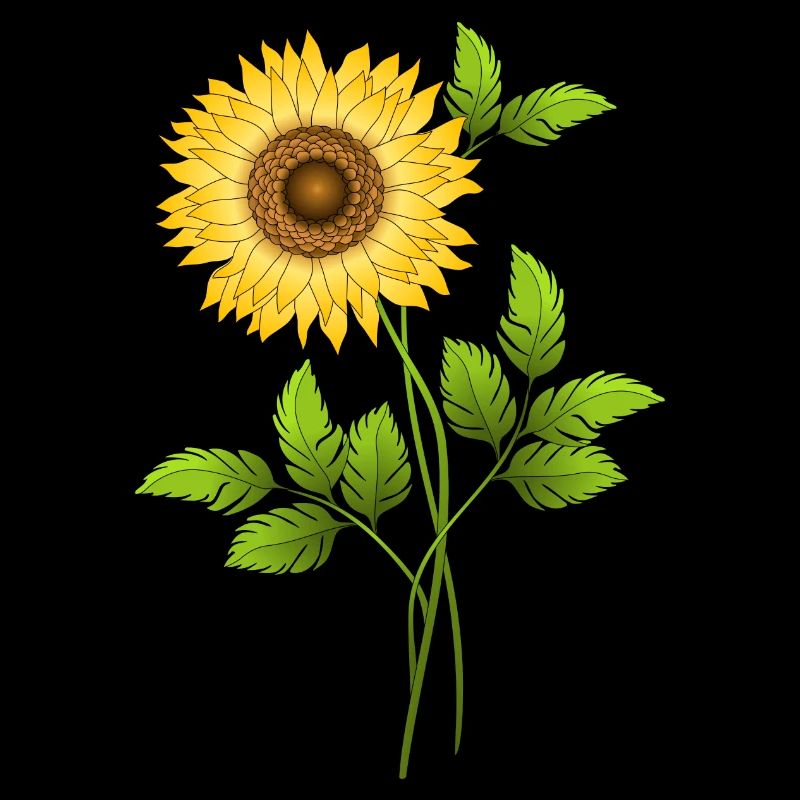 Sunflower flower