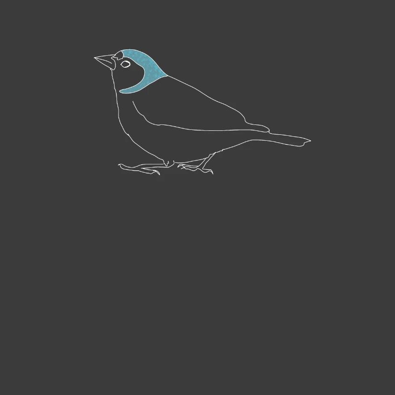 Buchfink