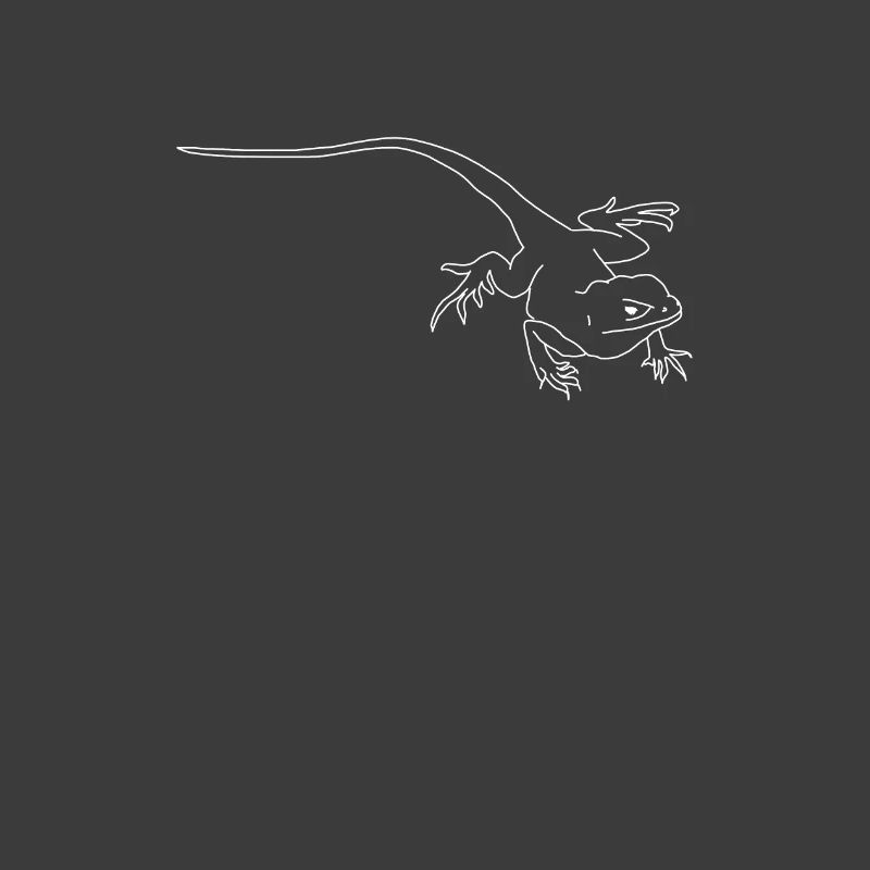lézard