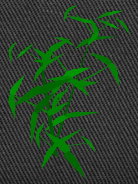 Bamboo