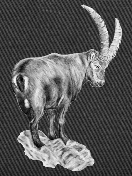 Trinkflasche "STEINBOCK"