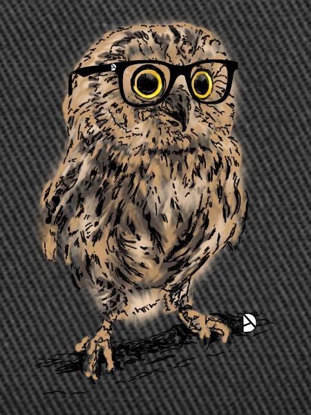AD Owl