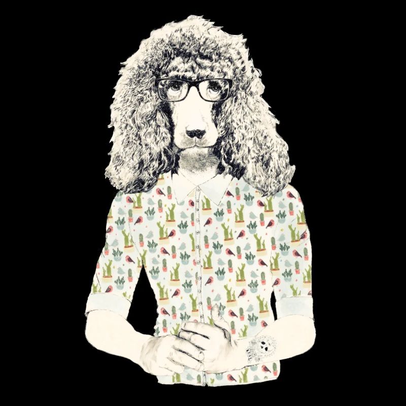 Hipster Pudel