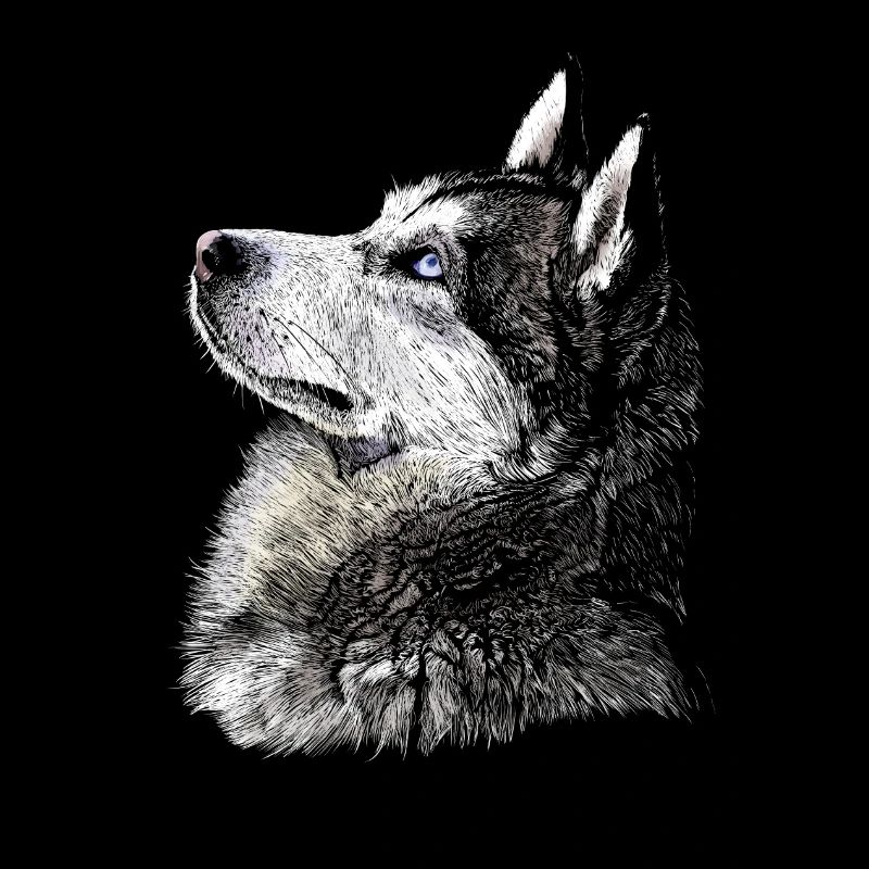 husky