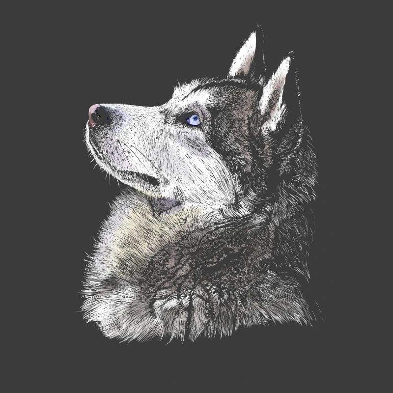 Husky