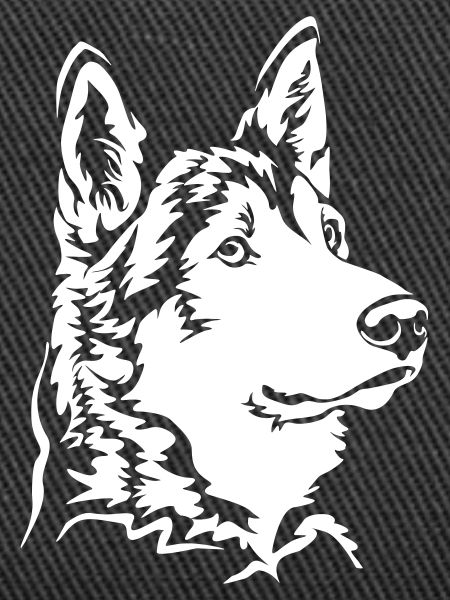 Tamaskan Head "Black Edition"