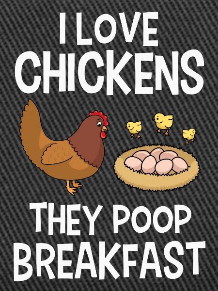 Chicken Chickens