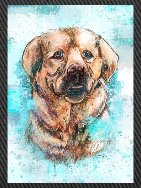 Labrador