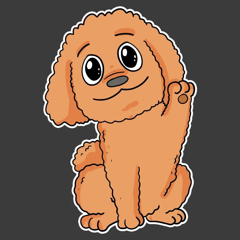 Pudel Hunderasse Hund Hunde