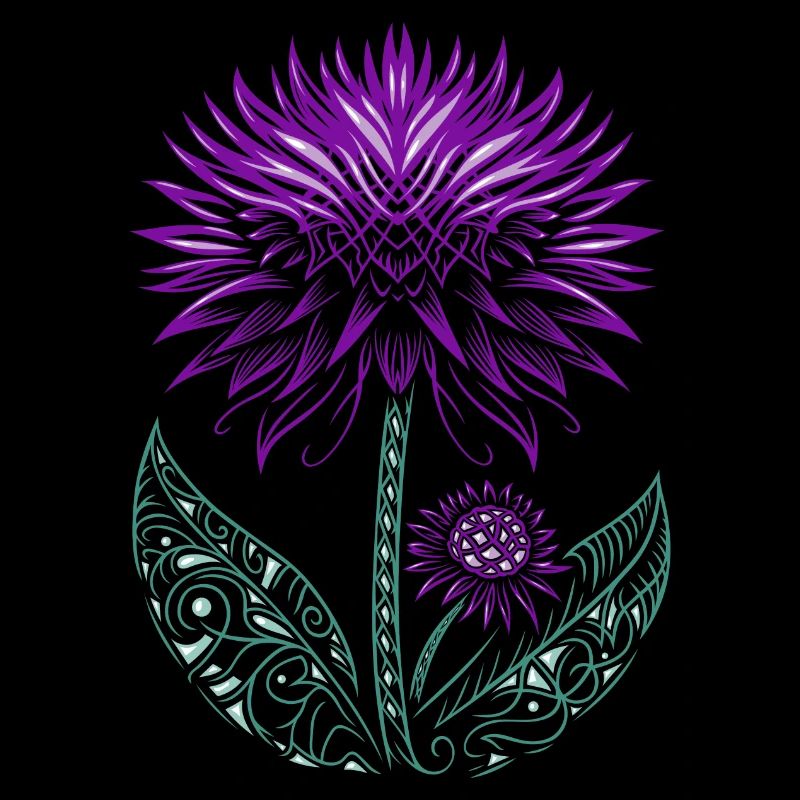 Distel lila Thistle