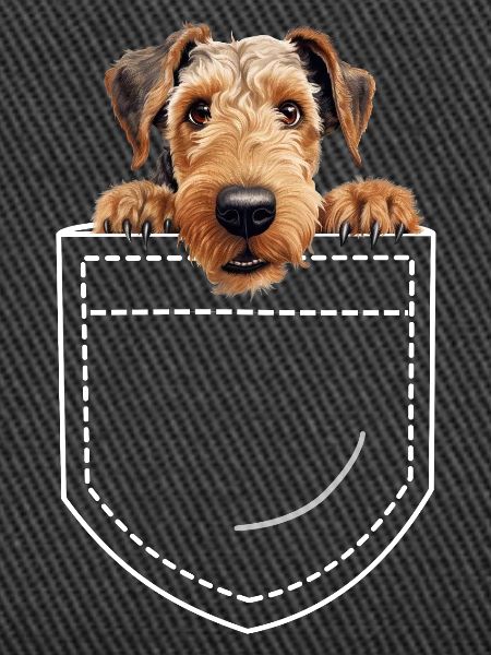 Chien Airdale Terrier
