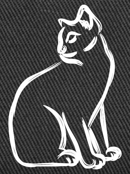 Cat Drawing