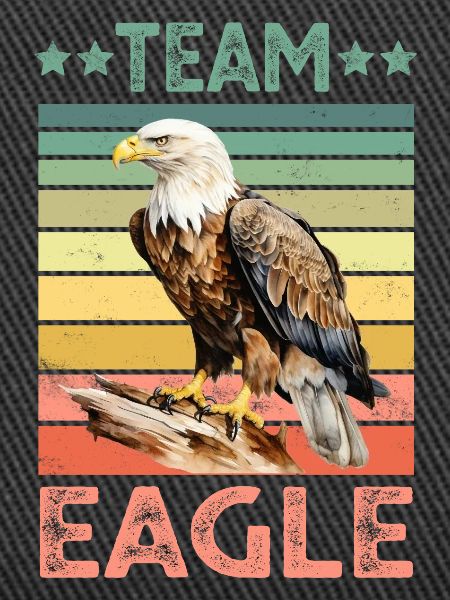 Eagle Bald Eagle
