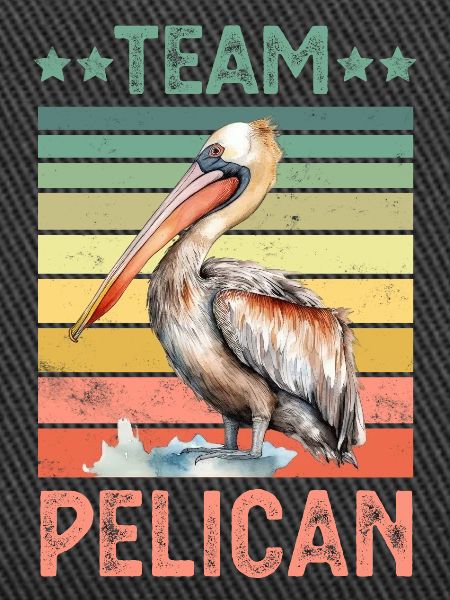 Pelican