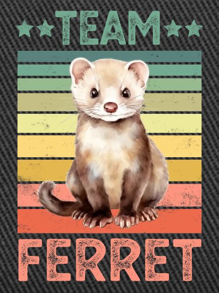 Ferret