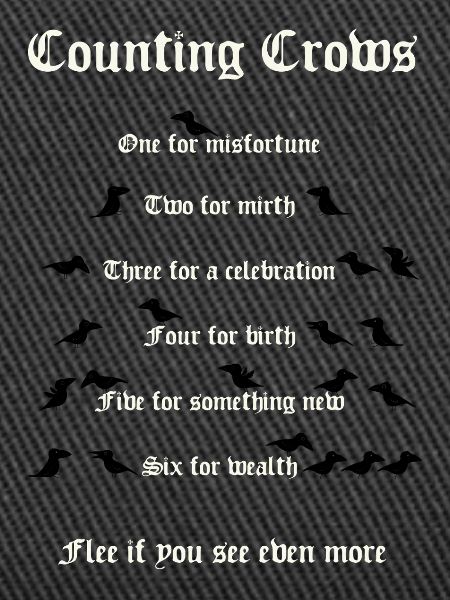 Crow Counting