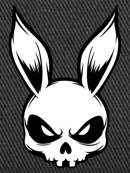 Rabbit Skull Skeleton