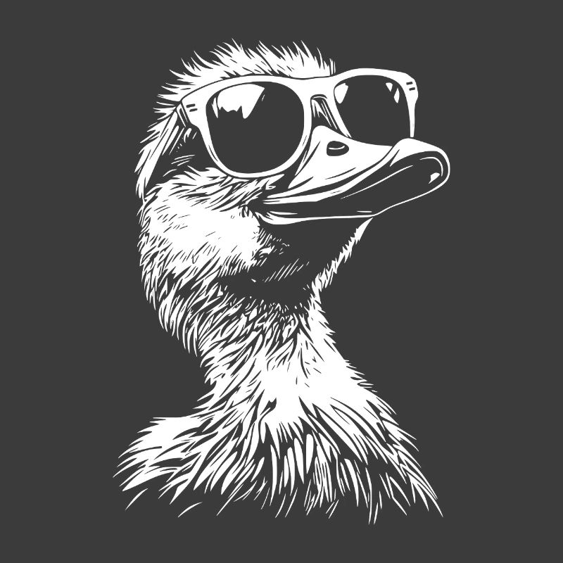 Cool Duck Sunglasses