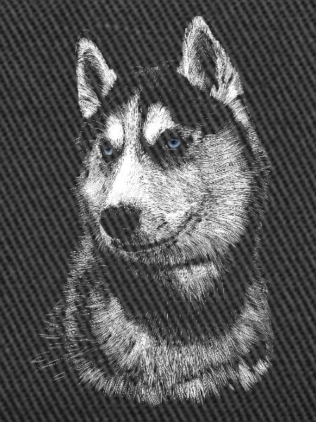Husky