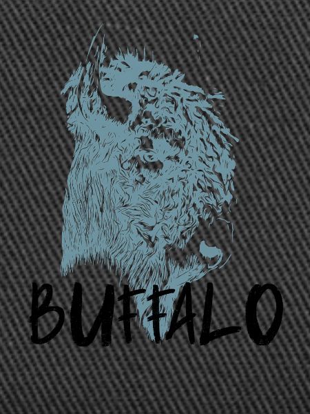 American Bison Portrait