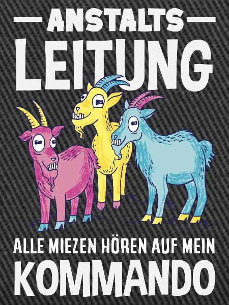 Anstaltsleitung Chef Leitung