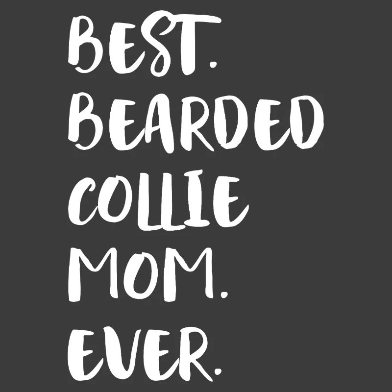 Bearded Collie