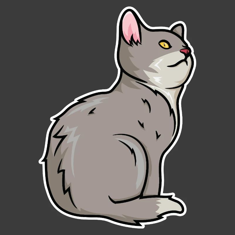 Cat Drawing