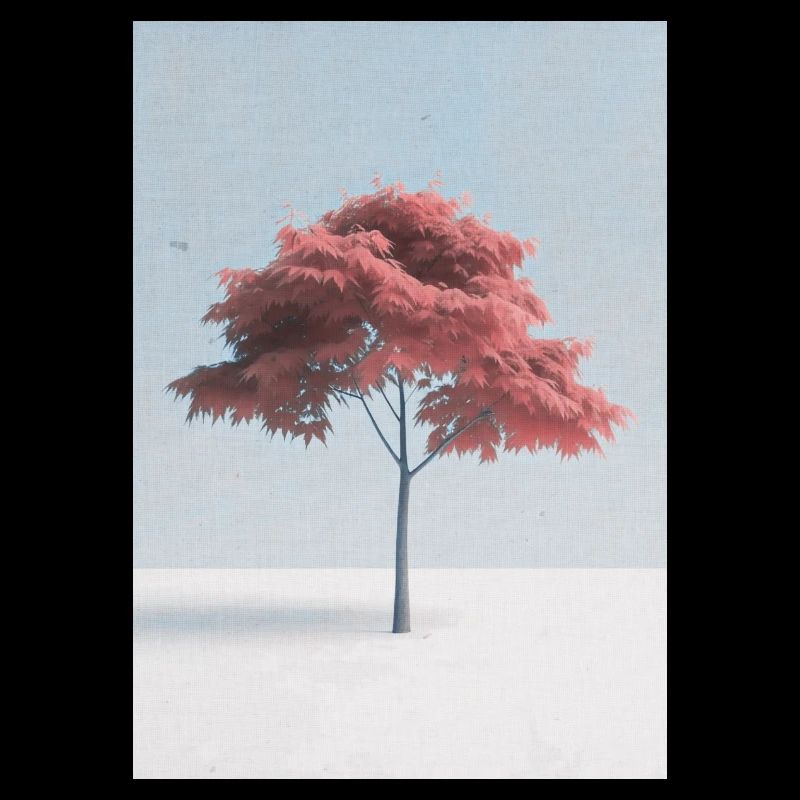 Art minimal de l’érable japonais