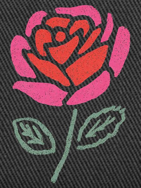 Wasserrose Farbexplosion