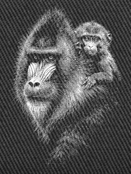 Mandrill