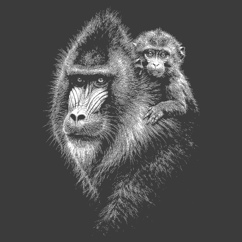 Mandrill