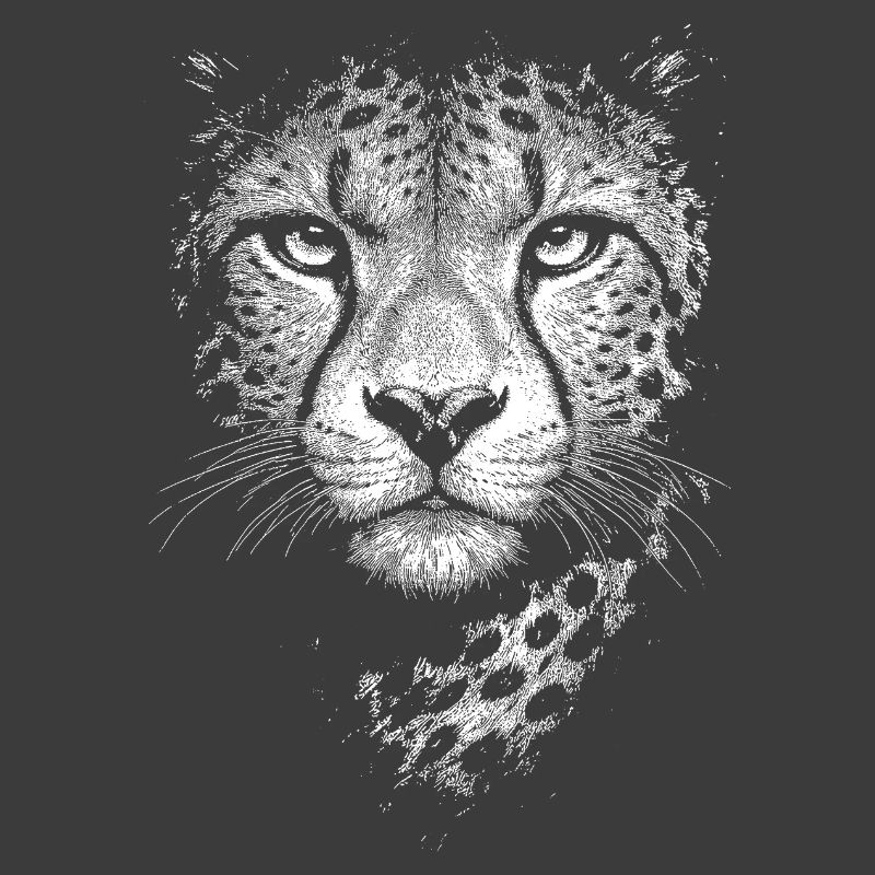 Gepard