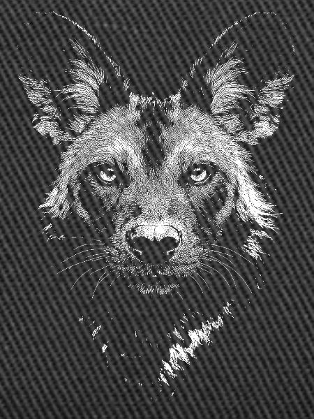 painted hunting dog