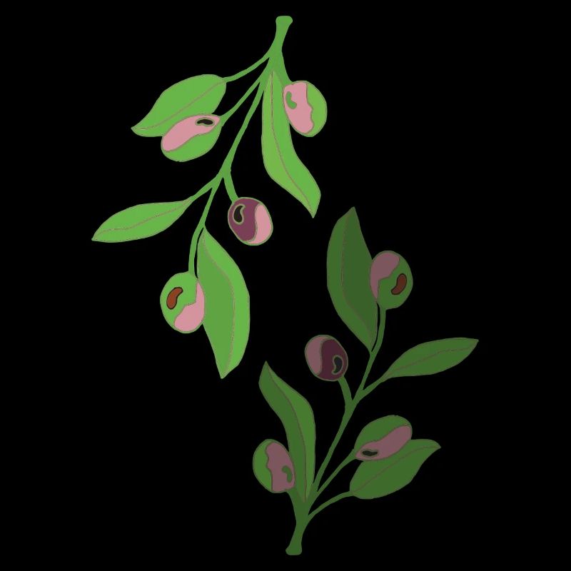 branches d’olivier, vert rose