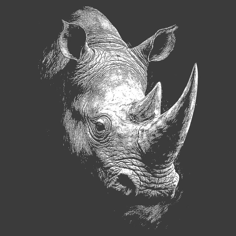 Nashorn