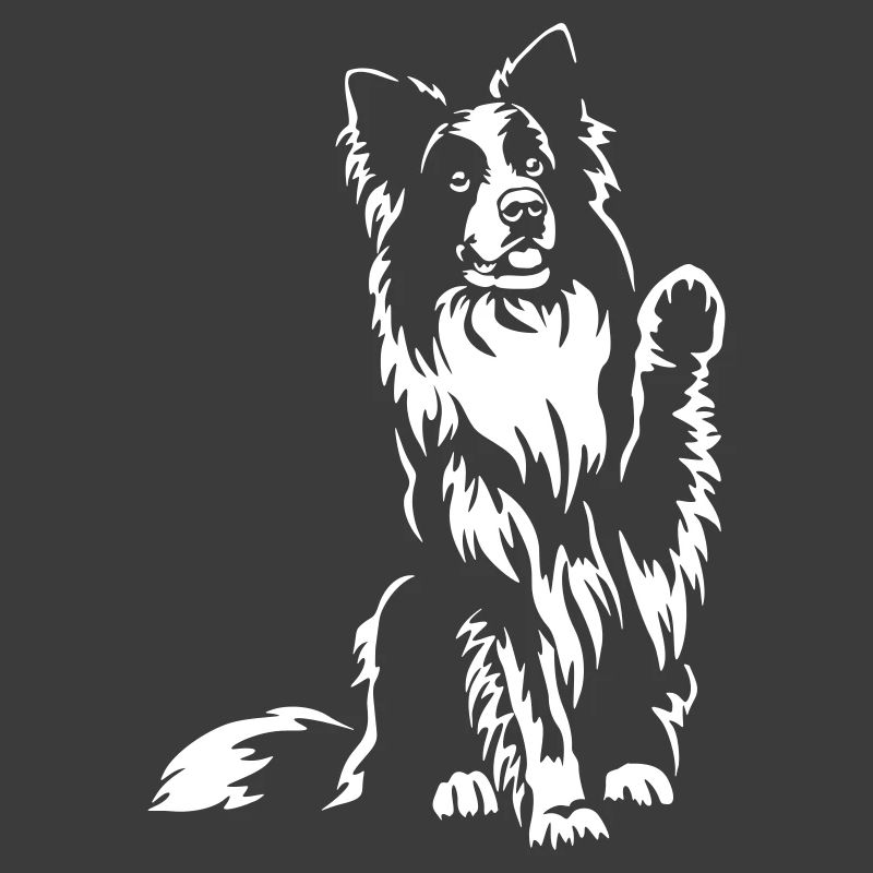 Border Collie "Black Edition"
