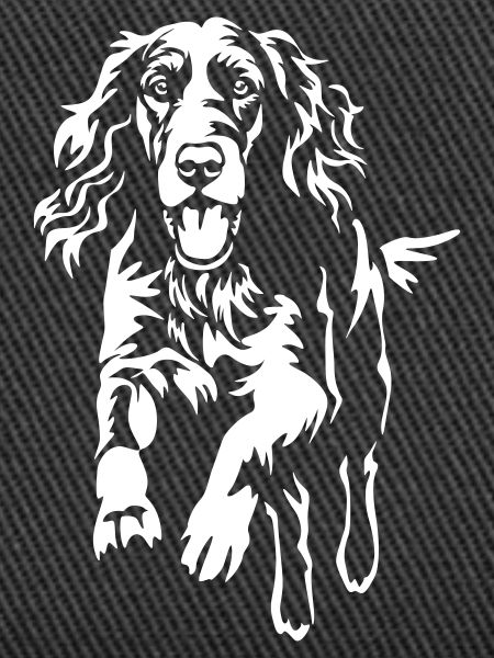 Irish Setter "Black Edition"