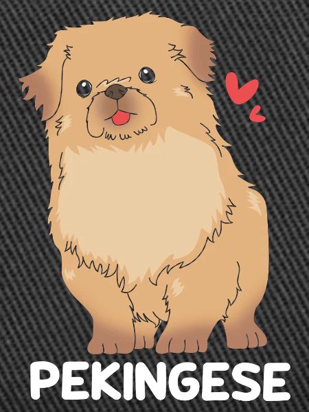 Pekinese