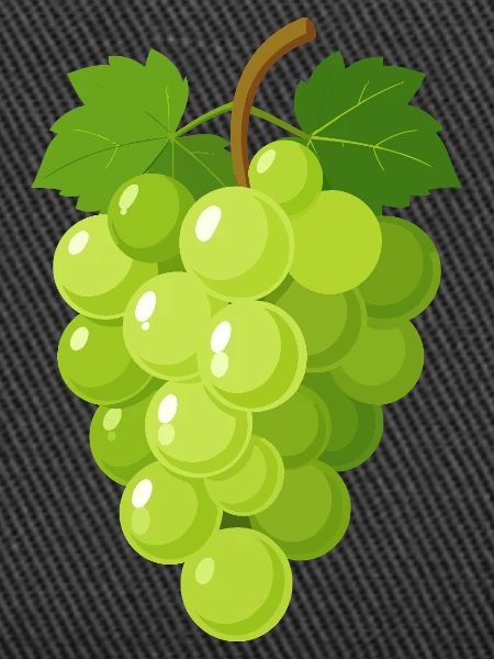 Green Grapes Illustration
