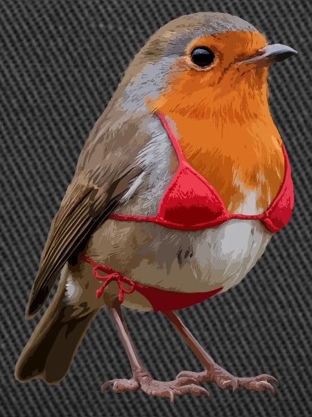 Robin Bikini