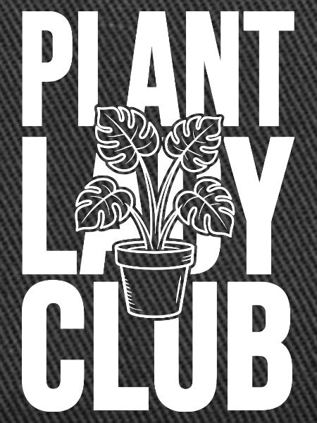Club Plante Monstera
