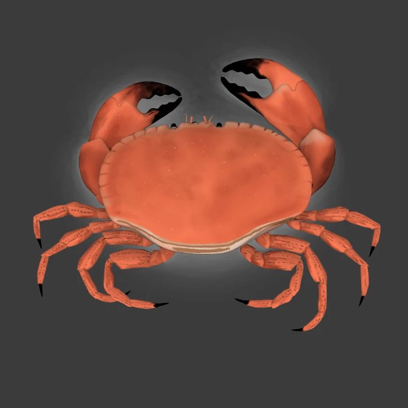 krabbe