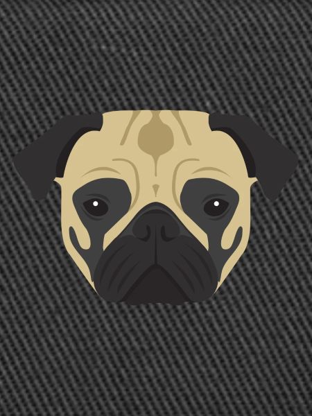 Pug