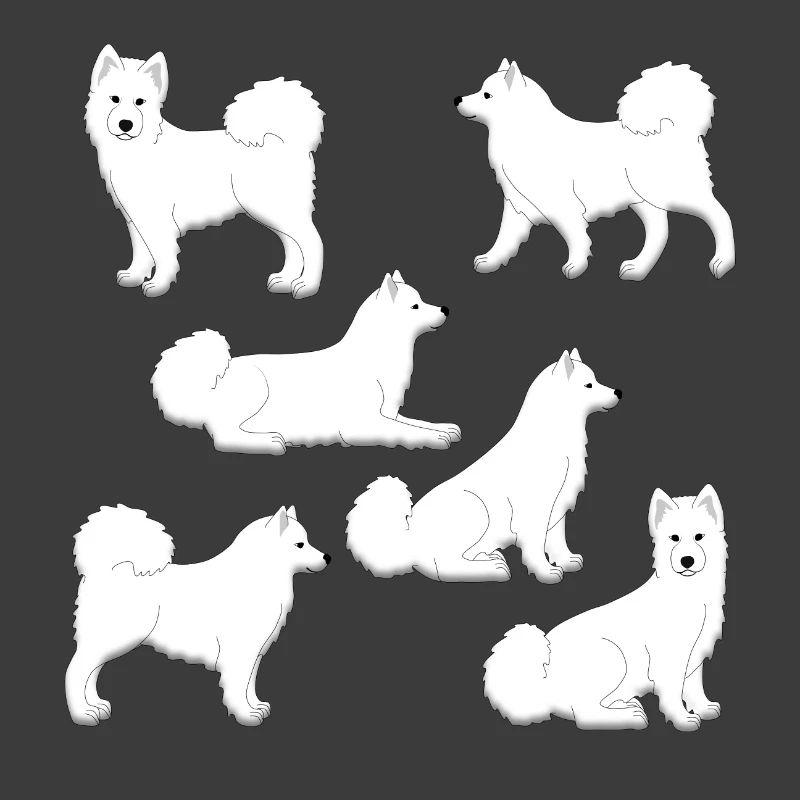 Samoyed selection