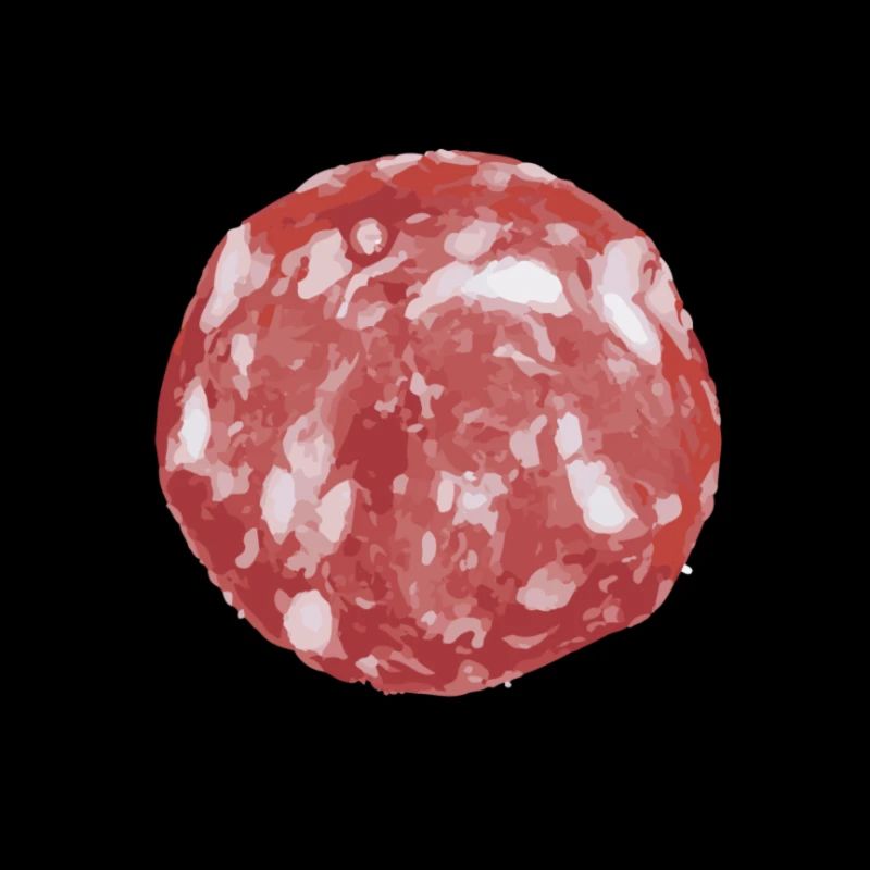 slice-of-salami
