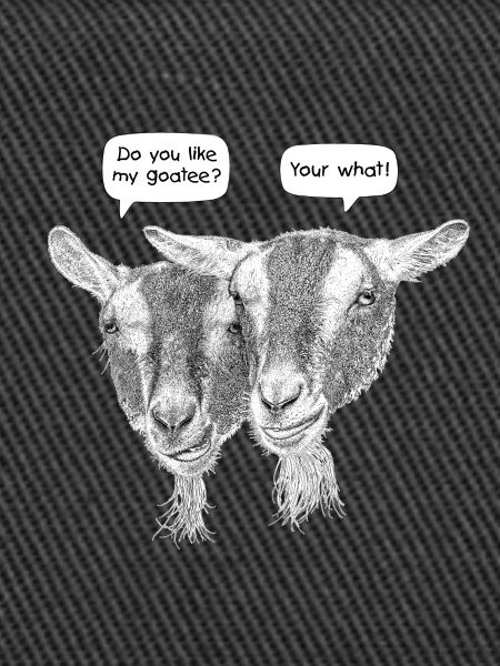 Funny Goatee Beard