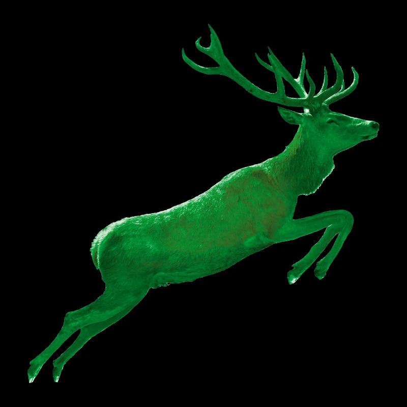 Le cerf saute dans le vert