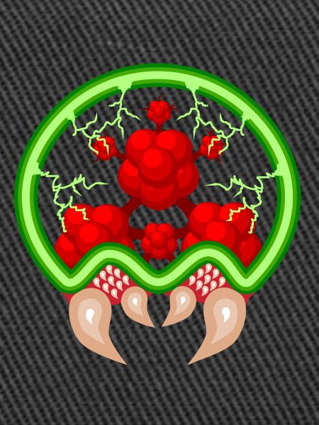 Metroid