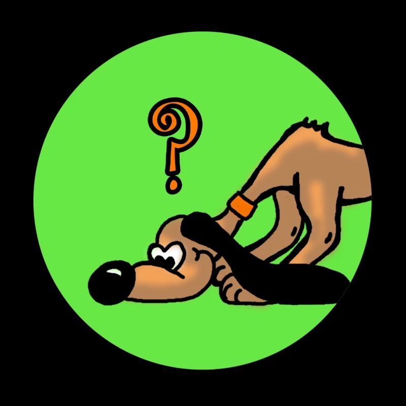 Suchhund hund